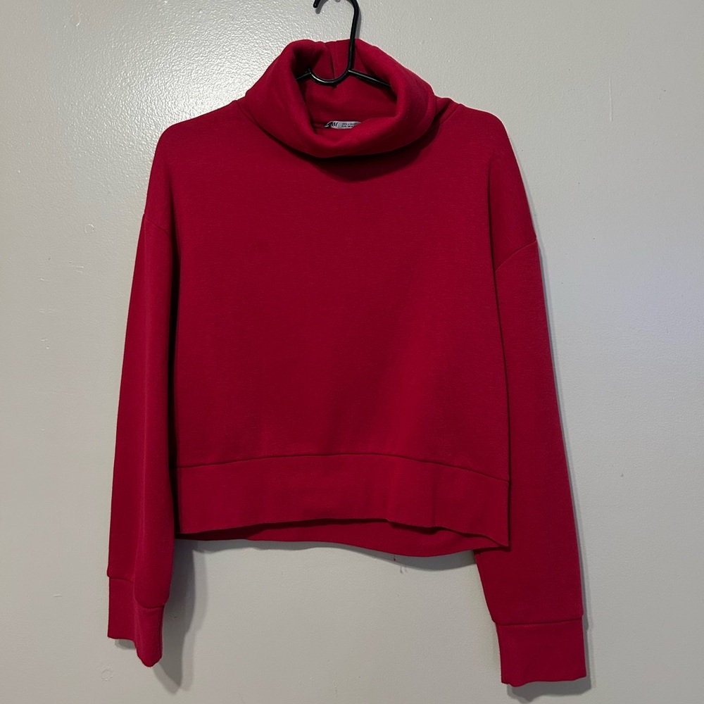 Zara turtleneck shirt